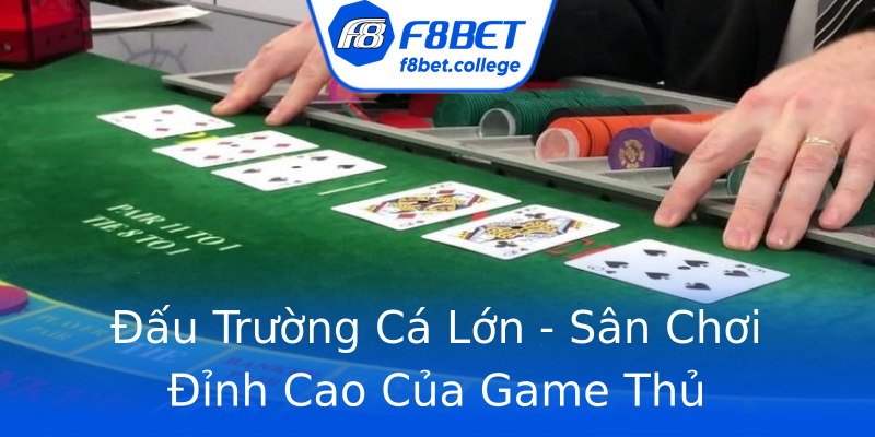 Đấu Trường Cá Lớn - Sân Chơi Đỉnh Cao Của Game Thủ Đấu Trường Cá Lớn - Sân Chơi Đỉnh Cao Của Game Thủ