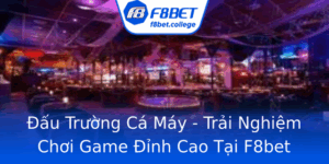 Au Truong Ca May Trai Nghiem Choi Game Inh Cao Tai F8Bet