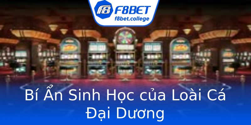 Bí Ẩn Sinh Học của Loài Cá Đại Dương Bí Ẩn Sinh Học của Loài Cá Đại Dương