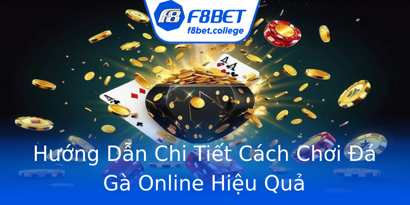 Hướng Dẫn Chi Tiết Cách Chơi Đá Gà Online Hiệu Quả Hướng Dẫn Chi Tiết Cách Chơi Đá Gà Online Hiệu Quả