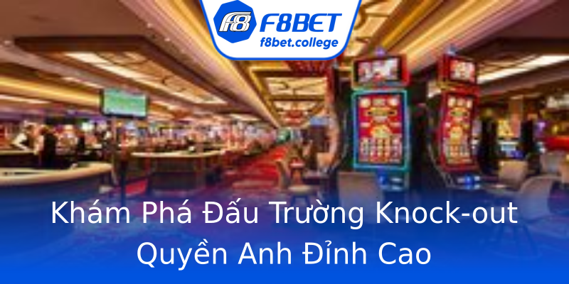 Khám Phá Đấu Trường Knock-out Quyền Anh Đỉnh Cao Khám Phá Đấu Trường Knock-out Quyền Anh Đỉnh Cao
