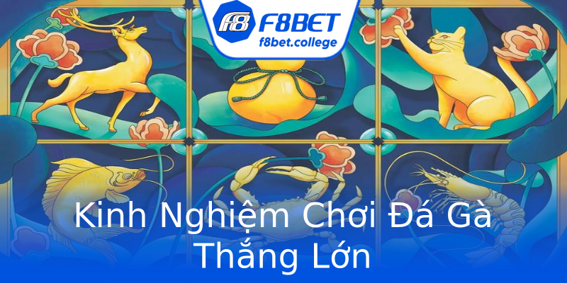 Kinh Nghiệm Chơi Đá Gà Thắng Lớn Kinh Nghiệm Chơi Đá Gà Thắng Lớn