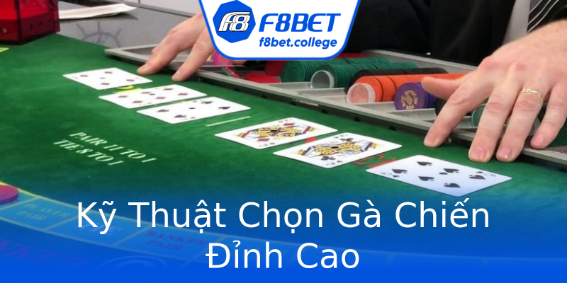 Kỹ Thuật Chọn Gà Chiến Đỉnh Cao Kỹ Thuật Chọn Gà Chiến Đỉnh Cao