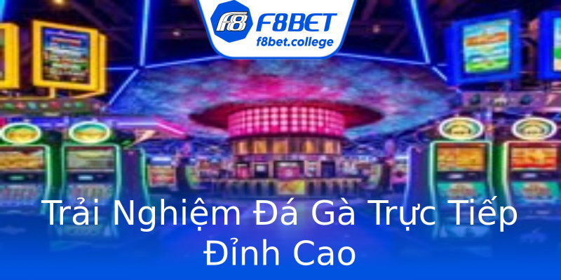 Trải Nghiệm Đá Gà Trực Tiếp Đỉnh Cao Trải Nghiệm Đá Gà Trực Tiếp Đỉnh Cao