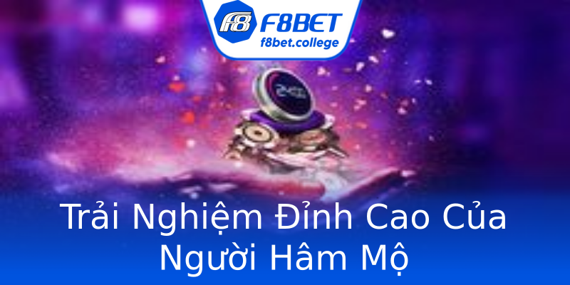 Trải Nghiệm Đỉnh Cao Của Người Hâm Mộ Trải Nghiệm Đỉnh Cao Của Người Hâm Mộ